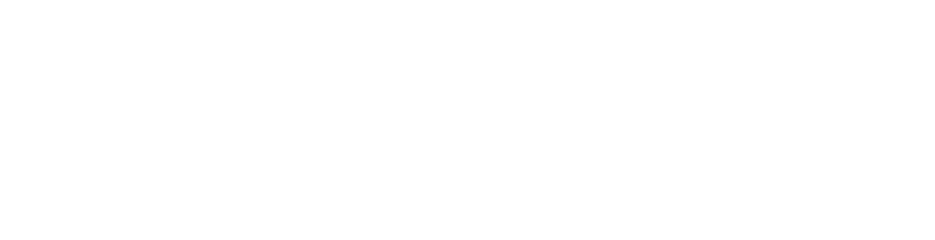 Ophanix Group