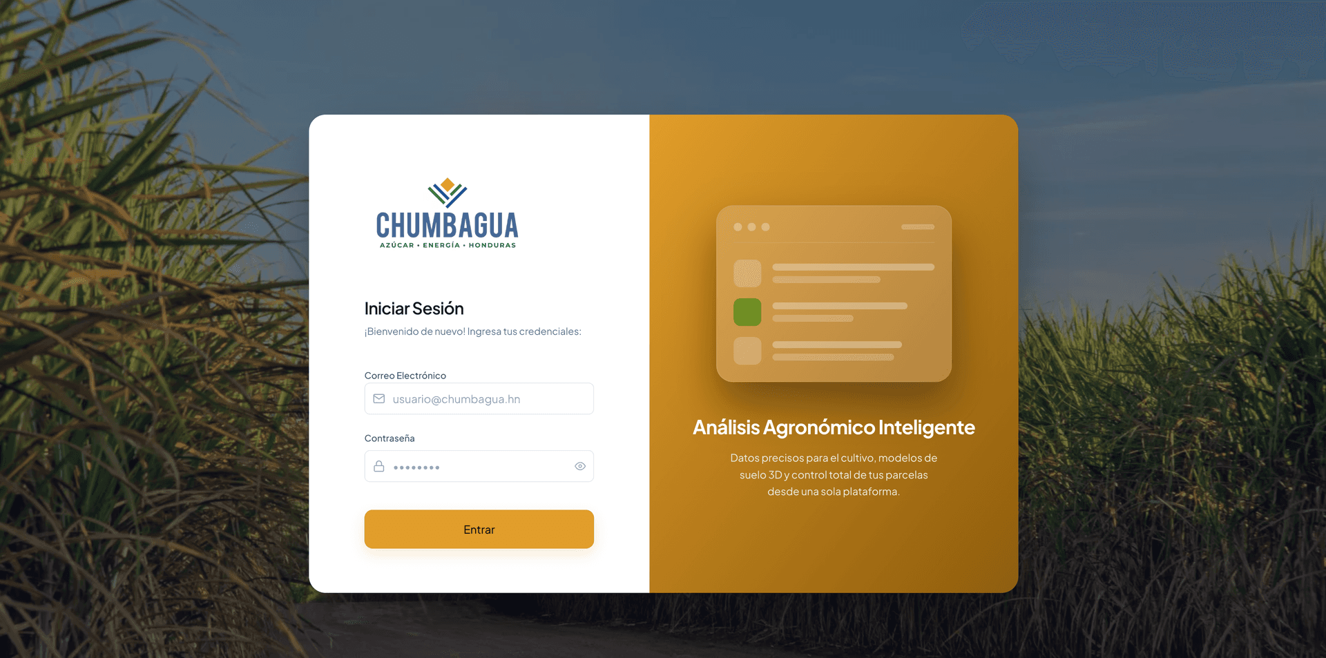Análisis de Suelo Chumbagua